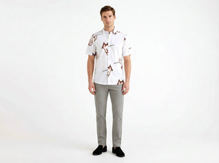 SHIRT AL23V-57  - Fashion  from Albione - Just 99 zł! Shop Now at Albione