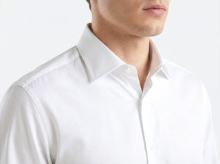 SHIRT ROMEO2408  - Fashion  from Albione - Just 159 zł! Shop Now at Albione