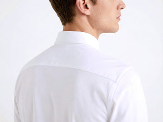 SHIRT AL23MF-13  - Fashion  from Albione - Just 159 zł! Shop Now at Albione