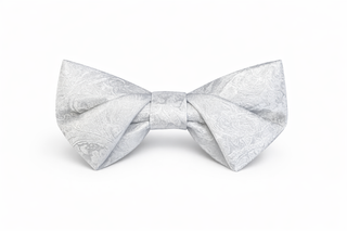 BOWTIE AC18  - Fashion  from Albione - Just 59 zł! Shop Now at Albione